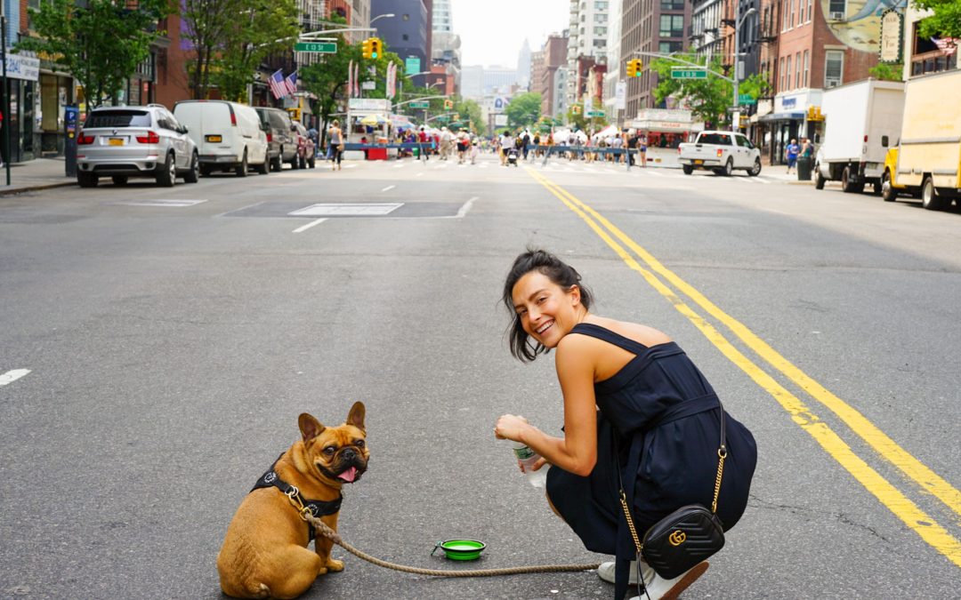 Essential Travel Accessories for Stress-Free Trips with Your Pet